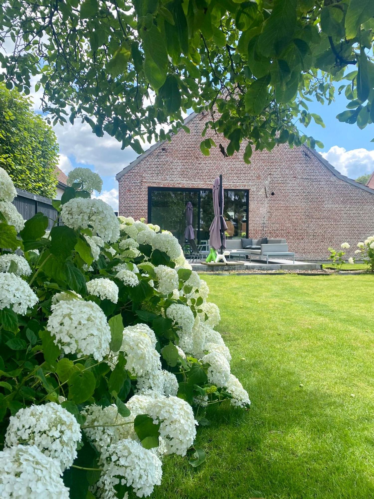 Hoeve De Kleinheide Dessel Buitenkant foto